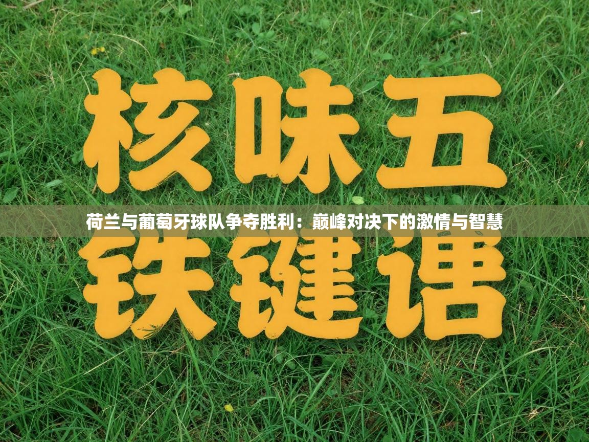 荷兰与葡萄牙球队争夺胜利：巅峰对决下的激情与智慧  第2张