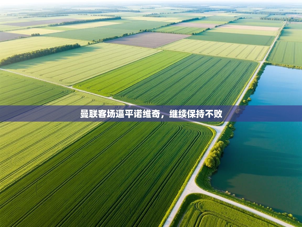 曼联客场逼平诺维奇，继续保持不败  第1张