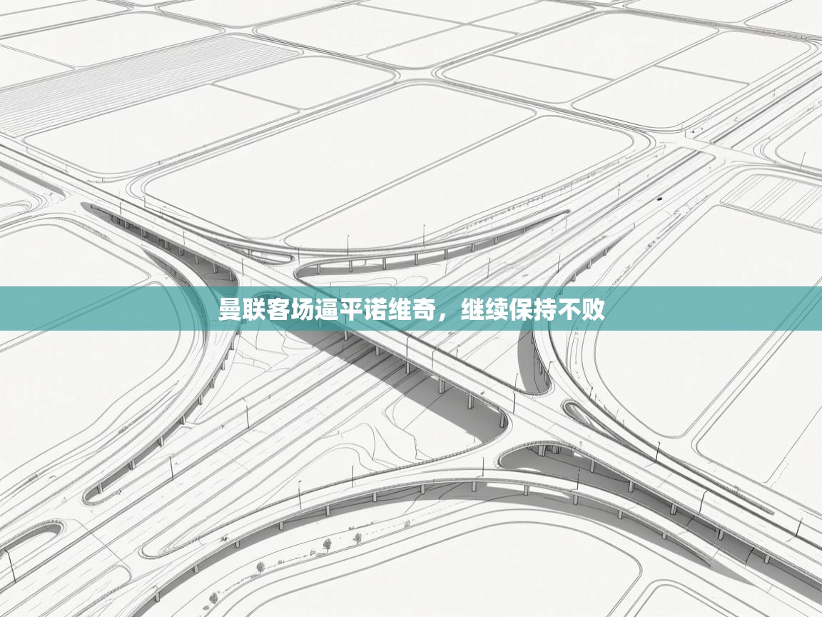 曼联客场逼平诺维奇，继续保持不败  第2张