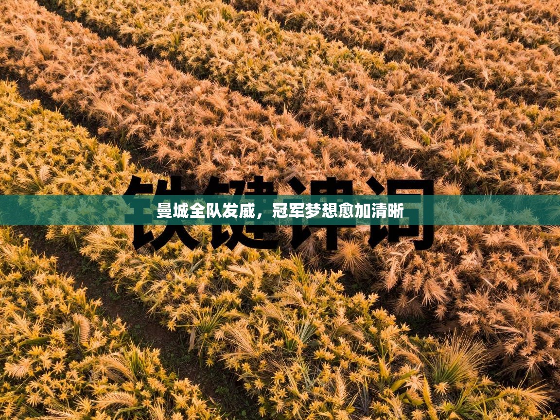 曼城全队发威，冠军梦想愈加清晰  第2张