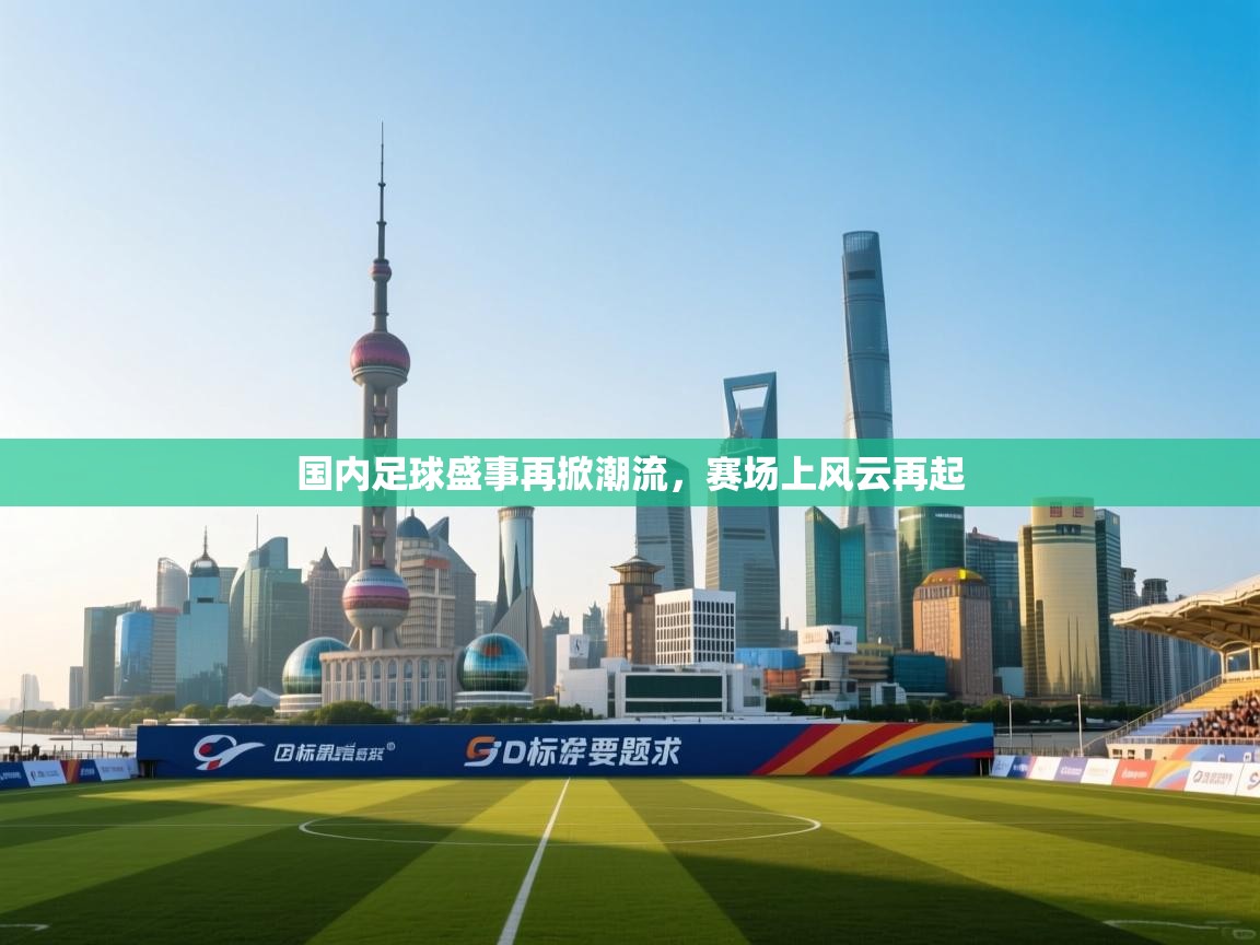 国内足球盛事再掀潮流,赛场上风云再起 第2张