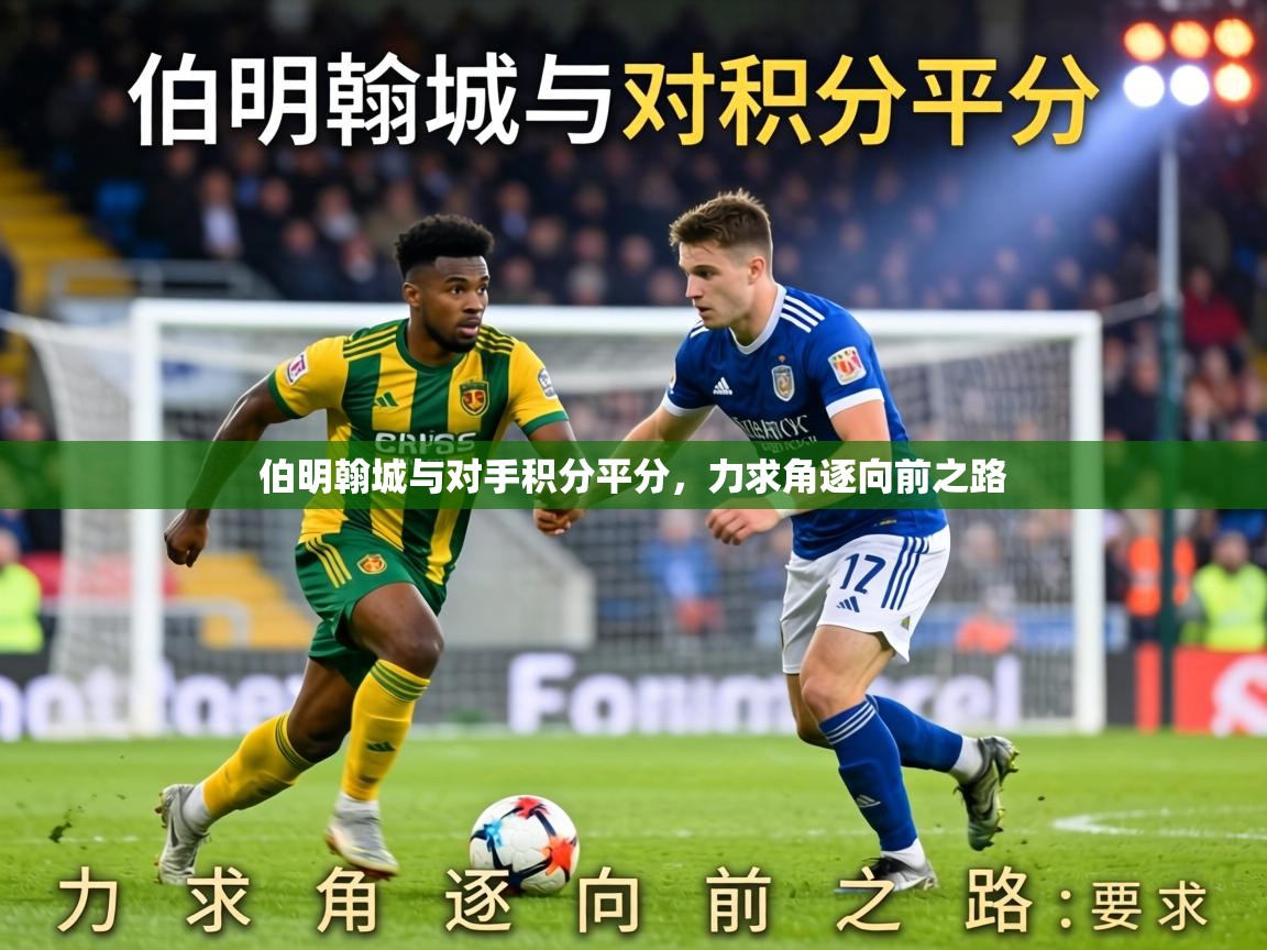 伯明翰城与对手积分平分，力求角逐向前之路